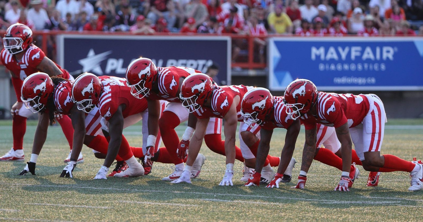113th Grey Cup